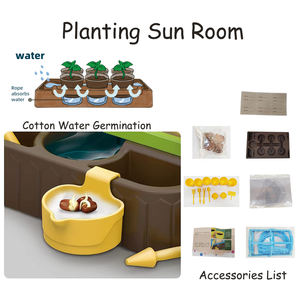 ชุดอุปกรณ์ทำสวนสำหรับเด็ก,ชุดเครื่องมือวิทยาศาสตร์เพื่อการศึกษาแบบก้านทดลองสังเกตพืชเรือนกระจกสำหรับเด็ก - Product Image 4