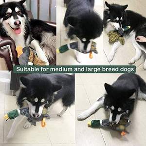 ของเล่นลูก<span class=keywords><strong>สุนัข</strong></span>ล่าล่านกเป็ด<span class=keywords><strong>สุนัข</strong></span>,ใหม่ของเล่นฝรั่งเศสลูกบอลพริกไทยไข่ไก่กล่องสัตว์เลี้ยงหมูของเล่น<span class=keywords><strong>สุนัข</strong></span>บินเป็ด - Product Image 4