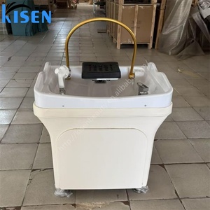 Bac à shampoing portable Kisen Salon Cream Beige Style, nécessitant une installation de plomberie, pour soins capillaires, facile à déplacer, design soigné - Product Image 1