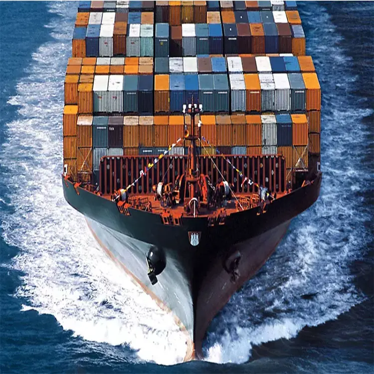 Sea Freight Forwarder Door to Door Shipping Company Sea Freight From China to USA Canada Italy Global Sea Freight Price