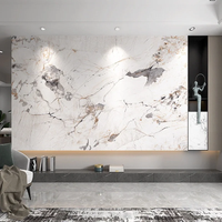Panneau mural en PVC marbré pour décoration intérieure moderne, imperméable et ignifuge, solution de design graphique en feuille de PVC marbré