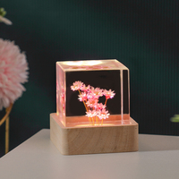 Veilleuse LED à brancher en forme de boule de cristal avec pissenlit véritable préservé, base en bois, design en résine, décoration d'intérieur, cadeau d'anniversaire