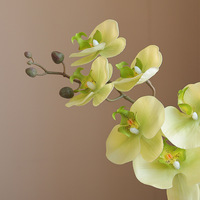 Anggrek Phalaenopsis Buatan Realistis Grosir untuk Dekorasi Rumah, Wisuda, Hotel, Natal, Hari Valentine