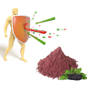 สารสกัดจากแบล็คเอลเดอร์เบอร์รี่ 25% แอนโทไซยานิน - Product Image 6