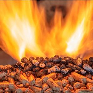 Pellets de Pino de Larga Duración, Combustible para Estufas y Calderas, Calor Prolongado en Clima Frío, Madera Comprimida de Alta Densidad - Product Image 4
