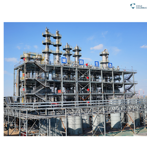 Torre di Stripping dell'Ammoniaca (Stripper) Recipiente a Pressione |   Trattamento delle Acque Reflue ad Alta Efficienza Rimozione dell'Azoto Ammoniacale 500L/Ora - Product Image 6