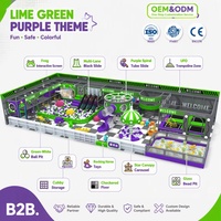 Prix d'usine Équipement de jeux intérieur à thème vert citron et violet, avec toboggan multi-voies, écran grenouille, tube spiralé et carrousel avion
