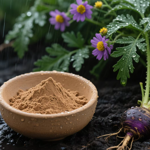 Высококачественный суперфуд для корня мака, порошок, чистый для мака, в контейнере и пластиковом контейнере, оптом от Longsheng - Product Image 5