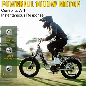 Vélo électrique 750W 48V 30Ah 400LBS à double batterie lithium longue portée pour adulte, expédition directe usine - Product Image 4