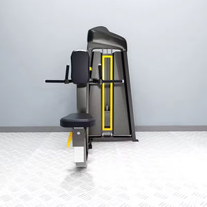 Machine à rames verticales Cheernin avec câble de 6 mm, équipement d'isolation dorsal soudé robotiquement pour centre de fitness et usine - Product Image 2