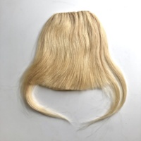 CA Cheveux Humains Remy Vierges de Haute Qualité 100% Lisses, Franges à Clips Invisibles pour Femmes, Vente en Gros LLBeautyHair