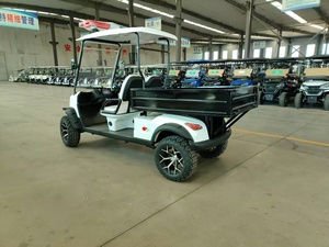Carrito de Golf de 2 Plazas a Precio Económico al por Mayor, con Cubeta Hidráulica, Tracción en las 4 Ruedas, Batería de Litio y Aluminio - Product Image 2