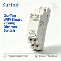 Módulo Eléctrico Inteligente WiFi Zigbee de 2 Canales para Riel DIN, Interruptor Regulador de Intensidad de 2 Grupos para Automatización de Iluminación del Hogar