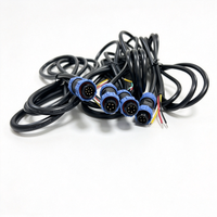 Câble d'alimentation circulaire étanche M12 personnalisé OEM/ODM, assemblage de faisceau de câbles électriques avec fiche moulée 4 broches vers extrémité dénudée