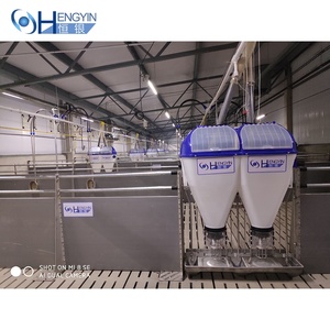 Alimentador seco/húmedo para sistemas automáticos de alimentación de cerdos Alimentador automático de cerdos - Product Image 4
