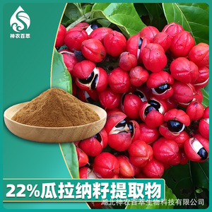 Extracto de Semilla de Guaraná 22% Concentrado Soluble en Agua en Polvo (Extracto de Semilla de Guaraná) Materia Prima para Suplementos de Salud - Product Image 2