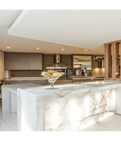 Conception de comptoir de bar à vin à surface solide en pierre d'onyx contemporaine rétroéclairée