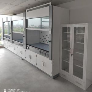 Cappa da laboratorio chimica durevole nuova progettazione cappa di ventilazione resistente alla cappa da fumo di corrosione da acidi e alcali - Product Image 2