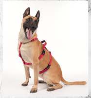 Nouveau Harnais pour Chien Anti-traction Robuste et Anti-explosion pour Grands Chiens, Sangle de Poitrine pour Animaux de Compagnie