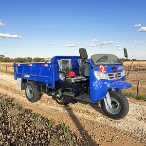 Tricycle à moteur à <span class=keywords><strong>essence</strong></span> à trois roues, carrosserie fermée, véhicule de <span class=keywords><strong>transport</strong></span> de marchandises et de passagers, <span class=keywords><strong>camion</strong></span> de livraison industriel - Product Image 2