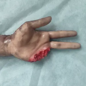 キレンメッド上肢の外傷とナイフ傷の切断モデル銃創の負傷は、縫合と切開手順を火傷します - Product Image 5