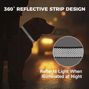 Koikvs Dog ปลอกคอไนล่อนทนทานปรับได้พร้อมหัวเข็มขัดปลดเร็วสำหรับสุนัขขนาดเล็กขนาดกลางทัศนวิสัย ° 360 - Product Image 5