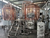 Petite échelle Restaurant Hôtel Pub Bar Microbrasserie Machines pour la bière artisanale Fermentation 200L 300L 500L 600L