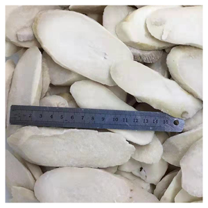 IQF <span class=keywords><strong>Pleurotus</strong></span> <span class=keywords><strong>Eryngii</strong></span> congelé-Champignons des bois tendres, idéal pour les plats gastronomiques, les sautés et les repas sains - Product Image 2