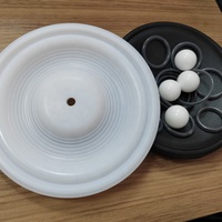 Suku Cadang Pompa Asli Wilden Wet Kit untuk Wilden P1, Diafragma PTFE dan Karet, Katup Bola dan O Ring Tersedia