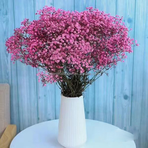 Il respiro del bambino ha conservato la corona di testa di rosa <span class=keywords><strong>con</strong></span> fiori secchi personalizzabile dimensione Yunnan origine naturale decorazione di nozze - Product Image 6