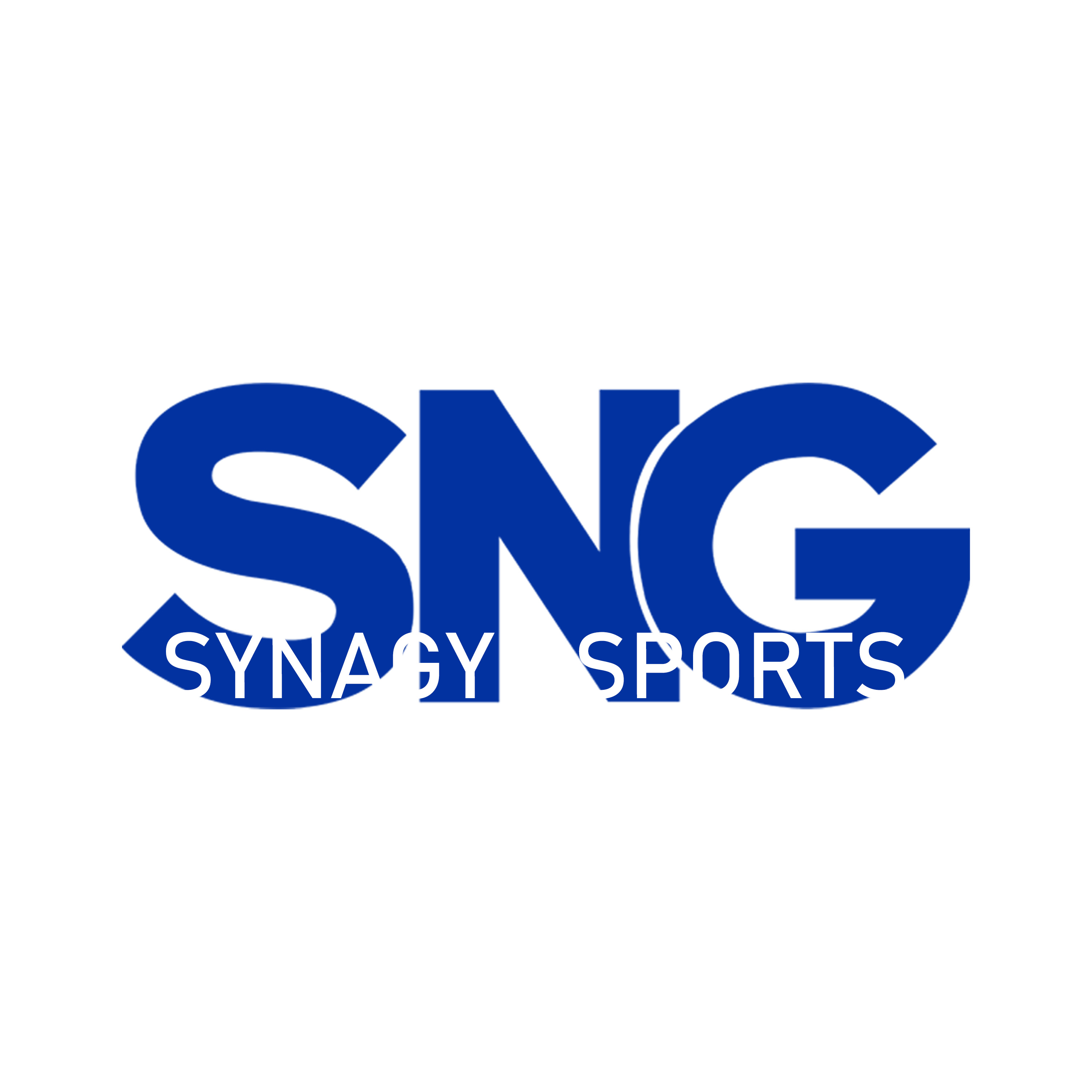 Synagy (Dalian) Sports Goods Co., Ltd. logo
