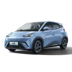 2024 हॉट सेलिंग सीगल प्योर इलेक्ट्रिक कॉम्पैक्ट कार नई ऊर्जा वाहन छोटी ईवी बायड इलेक्ट्रिक कार के लिए