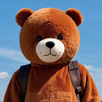 Tête de mascotte personnalisée de haute qualité Hola/tête de mascotte d'ours en peluche/tête de mascotte de dessin animé