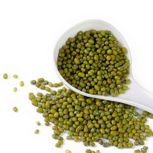 Indian Whole <b>Green</b> Mung <b>Beans</b> New Season Natural Agricultural Produce 24 Months Shelf Life for Global Export Wholesale Trading - Product Image 1