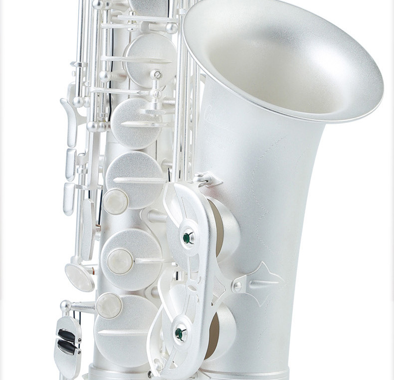 saxophone alto transparent model