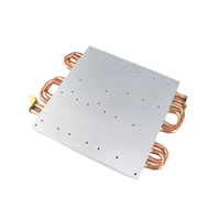 Disipador de Calor de Acero Inoxidable de Alto Rendimiento Personalizado al por Mayor, Placa Fría Líquida Grande, Bloque de Refrigeración por Agua, 1 Año de Garantía