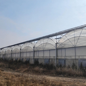 2025 Commercial Used Multi Span Tunnel <strong>Greenhouse</strong> Galvanized Steel <strong>Shelving</strong> - Product Image 3