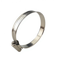 Collier de serrage à vis sans fin de type américain en acier inoxydable 8 mm 12,7 mm, bande perforée réutilisable, anti-fuite pour radiateur et chauffage