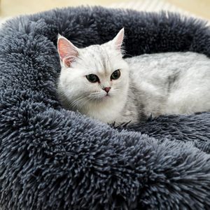 Inthetrend A0001 Luxury Plush Square Solid Eco-Friendly <b>Memory</b> <b>Foam</b> Removable Washable Carton Fashion All-Season <b>Dog</b> Pet <b>Bed</b> - Product Image 3