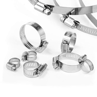 Collier de serrage galvanisé pour tuyau en acier inoxydable 304, 60 pièces