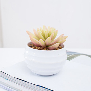 mayor <span class=keywords><strong>de</strong></span> <span class=keywords><strong>interior</strong></span> al aire libre casa jardín decoración 3D maceta <span class=keywords><strong>de</strong></span> suculentas plantas artificiales <span class=keywords><strong>de</strong></span> melamina para - Product Image 3