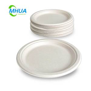 Assiette jetable <span class=keywords><strong>blanche</strong></span> pour servir des aliments Ensemble de vaisselle en papier dégradable au <span class=keywords><strong>micro</strong></span>-ondes - Product Image 3