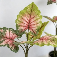Plante artificielle réaliste de haute qualité, branche de taro verte, bonsaï en plastique en pot pour la décoration de la maison et des hôtels