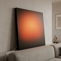 LUZ Light Box Art Frame Square Acrylic Painting APP Control Remoter Backlit Sunrise Birthday Living Room Home Deco