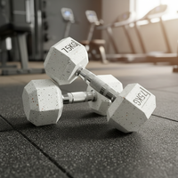 Ensemble d'haltères réglables en fonte de 25 kg/55 lb, poids libres de grande taille, haltères de fitness, paire pour la maison, forme hexagonale, revêtement en caoutchouc personnalisé