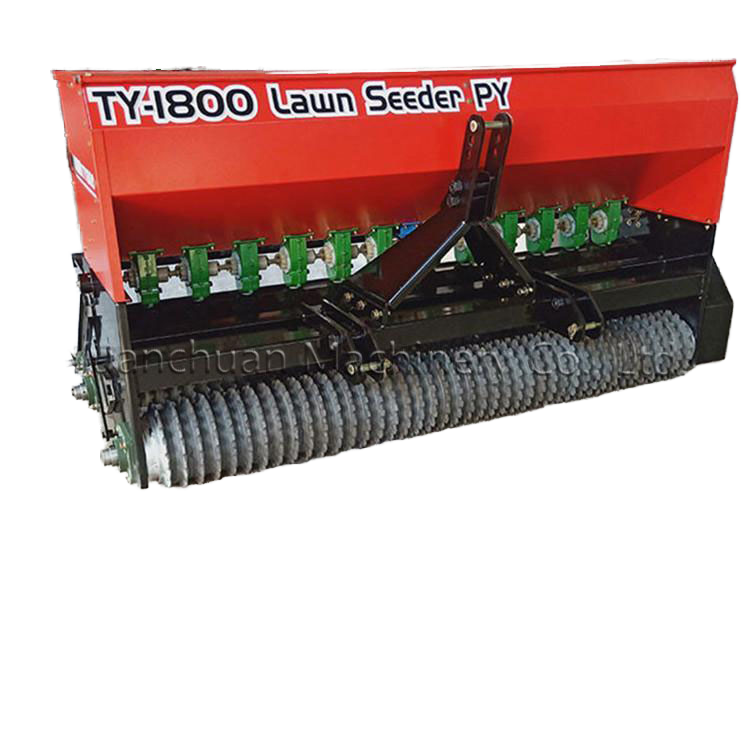 Lawn Grass Seed Seed Seed Sowing