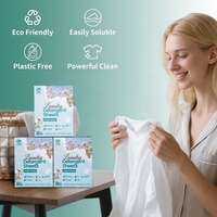 Tablettes de lessive biodégradables, écologiques, organiques, format voyage, détachantes, avec enzymes