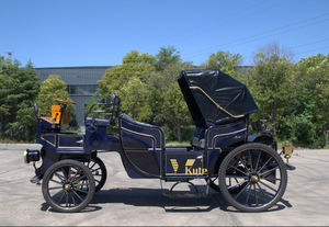 Chariot de tourisme vintage à châssis renforcé, chariot électrique à chevaux haute capacité pour passagers - Product Image 2