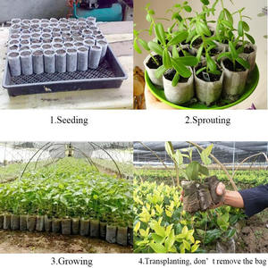 Tessuto Non tessuto scuola materna addensato aerazione nursery piantina vasi da giardino crescere piantina piantare fiore pianta semi di avviamento borse - Product Image 6
