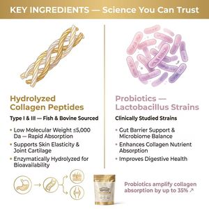 <span class=keywords><strong>Collagène</strong></span> en poudre certifié Halal GMP pour la santé des articulations, anti-âge, pour la peau, les cheveux, les ongles et l'intestin, avec probiotiques, marque privée OEM - Product Image 3